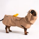 도그엔젤 이미지