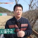 울산매운수제비