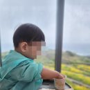 T.아일랜드리조트 | 제주도 동쪽 우도 3박 4일 가족여행 후기 (휘닉스아일랜드 숙박)