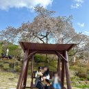용두농장2 | [방문후기] 광주 _ 예쁜애견동반카페 / cafe_ 아벤티노의 농장 / 광주 대형견 애견동반카페 추천 / 광주...