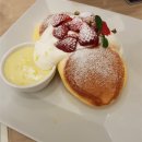 하나로 플라워 수족관 | 일본 후쿠오카 2박 3일 아이와 함께하는 자유여행 코스 추천, 일정 경비 공유