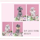 꽃이랑개랑 이미지