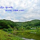 2015년 7월 25일~26일 천안 동면 죽계리 "대동저수지(일명:죽계지)" 이미지