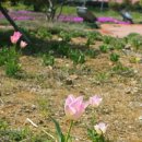 거제도 관광안내소 이미지