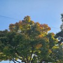 보건약방 이미지