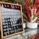 [수원] 더 푸릇 탕후루 아이스크림 후기