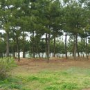 송악초등학교 이미지