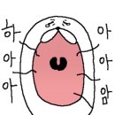 아이블리샵