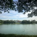 캣 레이크 이미지