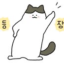 네일, 안느 이미지