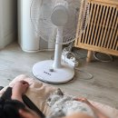루고냥이