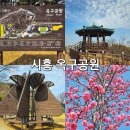 옥구공원 숲속교실 | 경기도 시흥 아이와 가볼만한곳 옥구공원 취사가능한공원