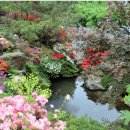 호반 캠핑장 이미지