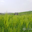 광신농장 이미지