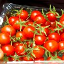 이상철농장 이미지