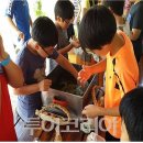 서천한산모시떡