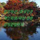 법무사신민사무소 | 임관혁이 쓰는 인문학 속의 법(33) ‘술 권하는 사회’와 주취감경
