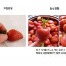 고정관념