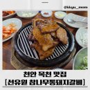 선유원갈비 | 🐷천안 소노벨 근처 목천 맛집, 선유원 참나무통돼지갈비 솔직 후기🍖