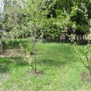 순천금당고등학교 이미지