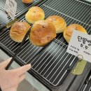 [하남] 미사 대형카페 드말리 베이커리 앤 다이닝 카페 내돈내산 솔직 후기
