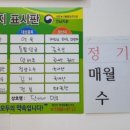단이네만두