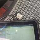 경성모터스 이미지