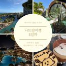 킹 당구클럽 | [나트랑 여행 4일차] 아미아나 깜란 리조트 | 인드라이브 이용 | 에그커피 | 과일가게 추천