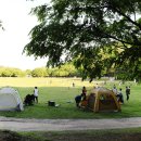 오리 어린이공원 이미지