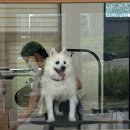 몽트루디 이미지