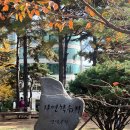 만석거 | 산책하기 좋은 수원 만석공원 만석거둘레길 | 가을 단풍 명소 추천🍂🍁