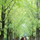 호텔정관루별관(게스트하우스) | 춘천 가평 여행 남이섬 1박2일 배시간 숙소 정관루 숙박 남이섬 가볼만한곳