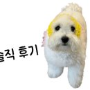 클레어뷰티