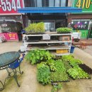 정기농약사 이미지