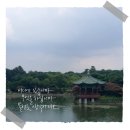 윤무역 | [ 박물관 ] 한 곡 반복 플레이리스트 #10 [ 안예은 ]의 [ 윤무 ]