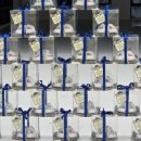 참피온키즈태권도 이미지