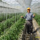 상현농장 이미지