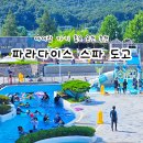 도고성인용품점 | 아산 파라다이스 스파 도고 워터파크 가격 모자 준비물 할인 꿀팁
