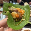 경상대로 | 칠암동맛집 가성비 좋은 불돈생돈 진주경상대점(구 산업대점) 후기