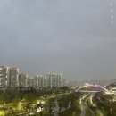 라이크무드 네이버블로그