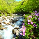 뱀사골민박 이미지