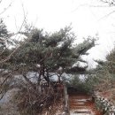 소나무도서관 이미지