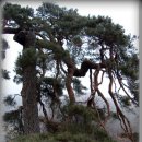 천천면광산마을 이미지