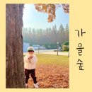 금마어린이집 이미지