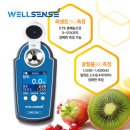 비에스팜 | 킴비의 화요일 일상 - 당도계 토스몰 입점