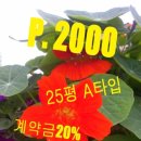 신신부동산공인중개사사무소 이미지