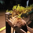 미니스톱학사점 이미지