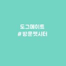 도그매니저