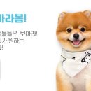 밀리언동물병원 이미지