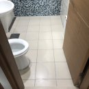 D00567 | 내 돈 내산 살면서 작은 욕실 줄눈 시공 후기
